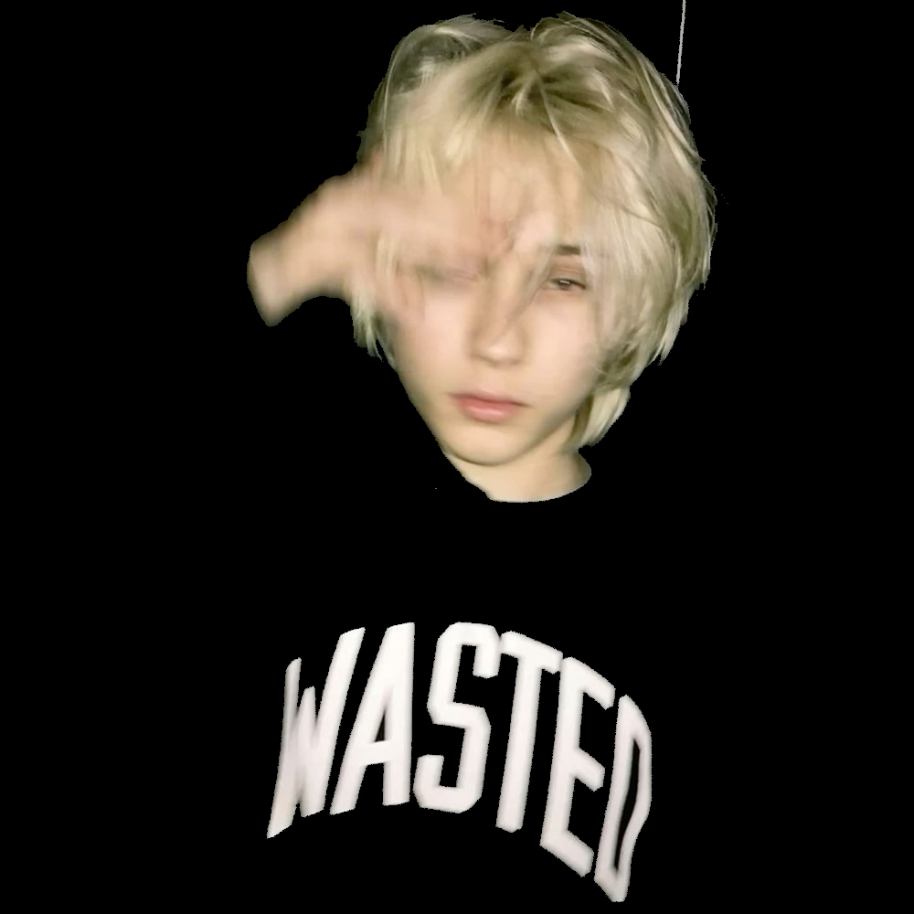 WASTED HOODIE
